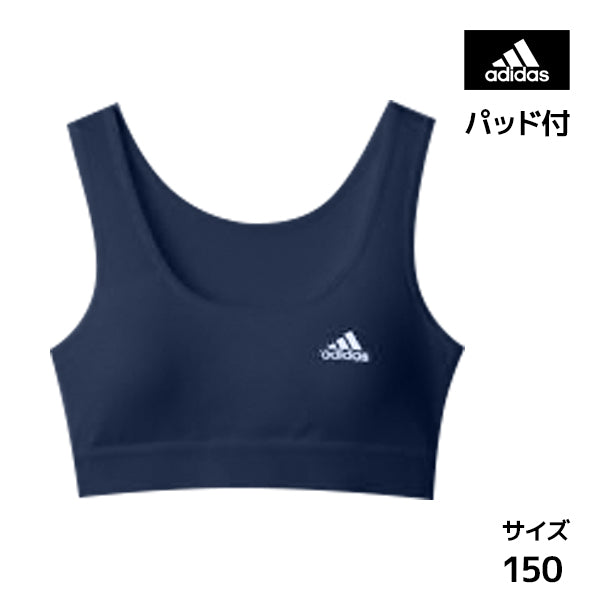 APE3375-85