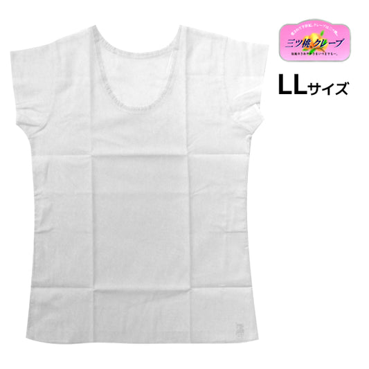 1508-31-LL