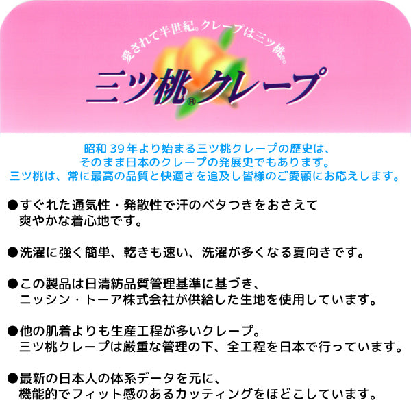 1508-31-LL