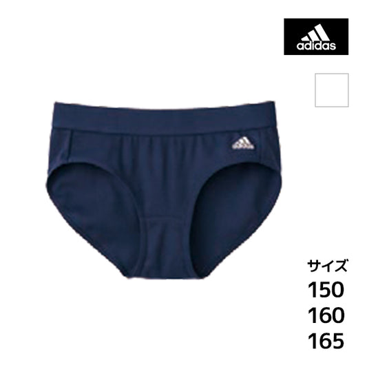 APE3975-85